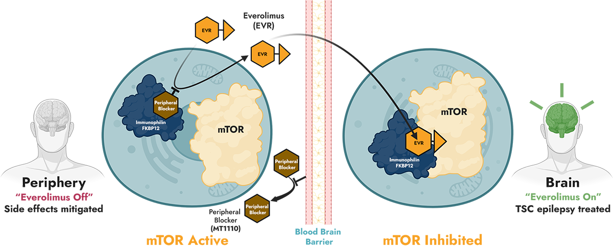 Peripheral Blocker graphic